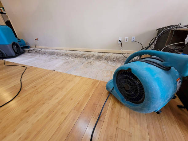 Professional Water Damage Repair technician working in Rex, GA